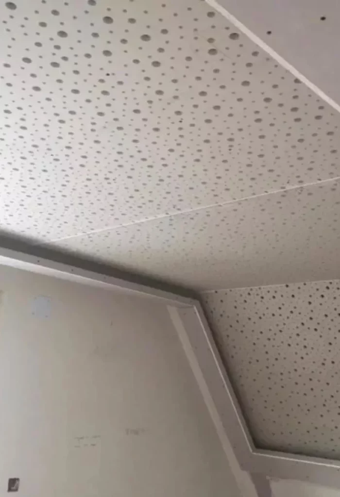 Spi Plaquiste Platrier Hoenheim Placo Et Cloisons 1